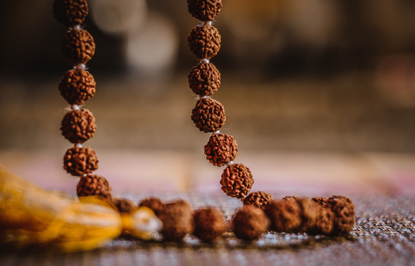 Rudraksha image
