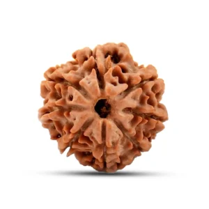 8 MUKHI