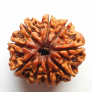 9 MUKHI